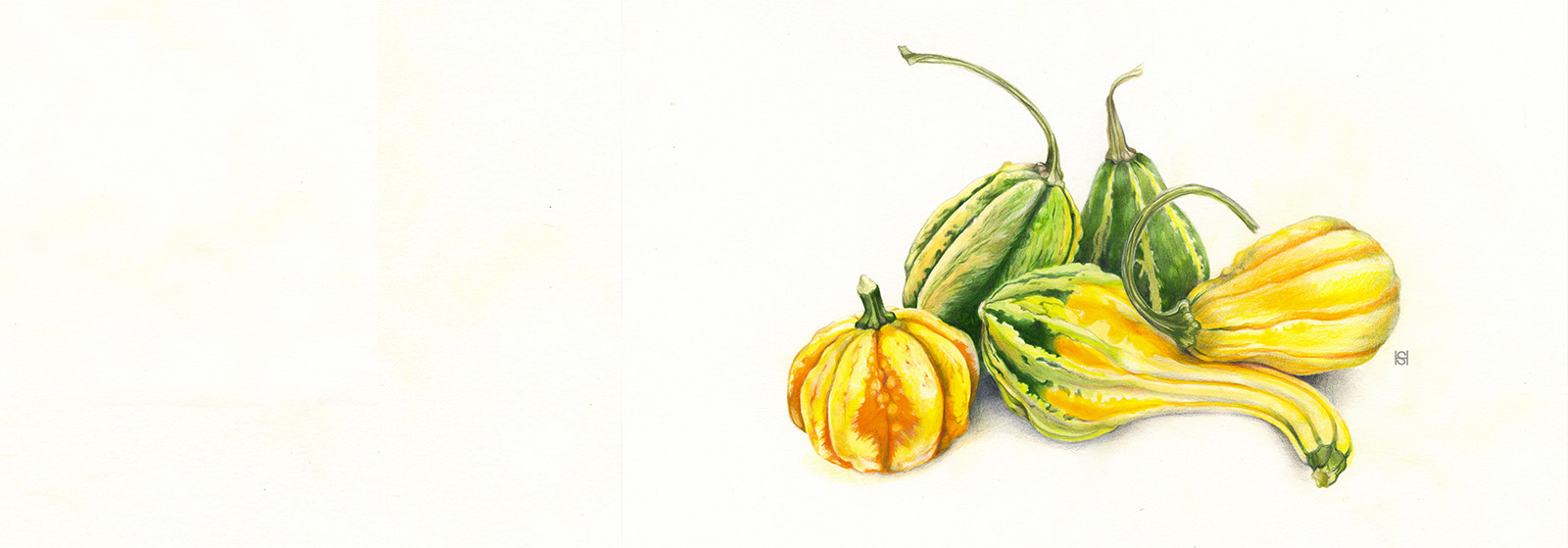 Botanical Drawing Workshop: Gourds and Pumpkins