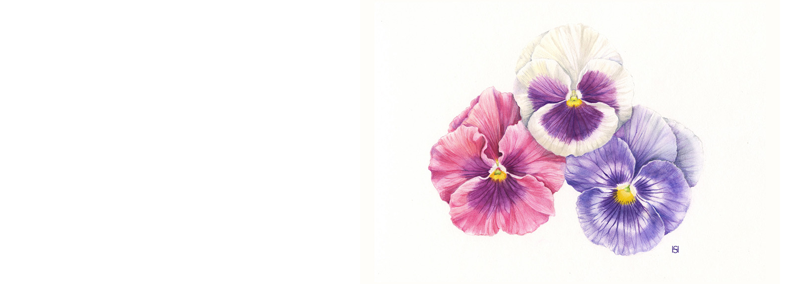 Botanical Drawing Workshop: Spring Flowers