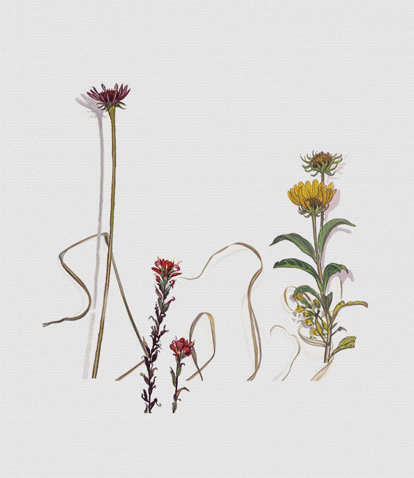 Morris Museum Gala 2025 - Morris Museum