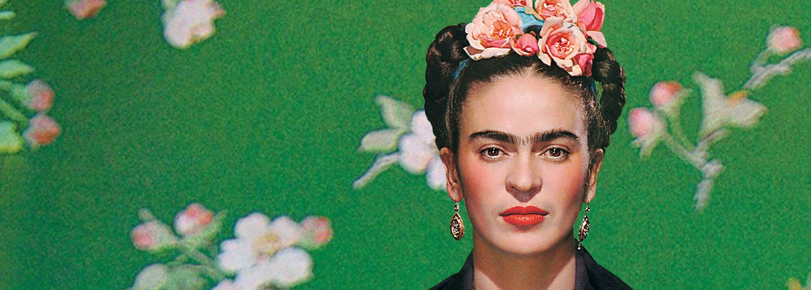 Film: Frida: Vida la Vida