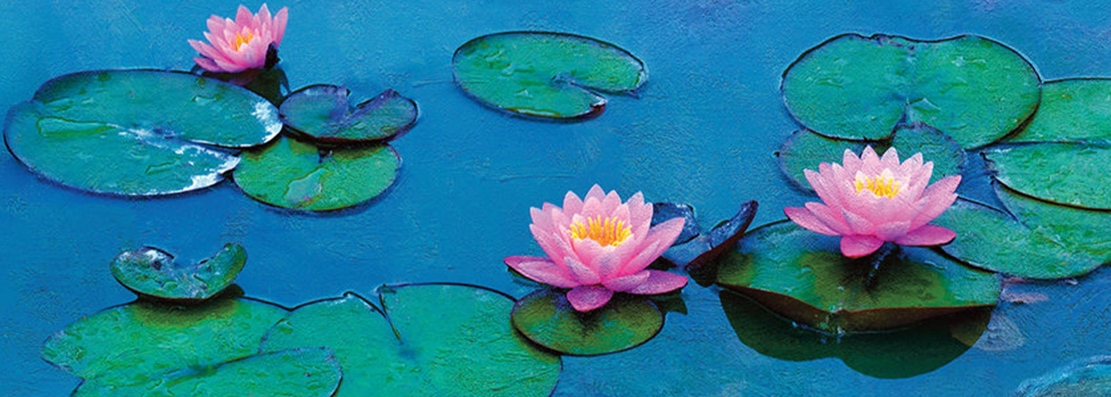 Film: Water Lilies by Monet: The Magic of Water and Light