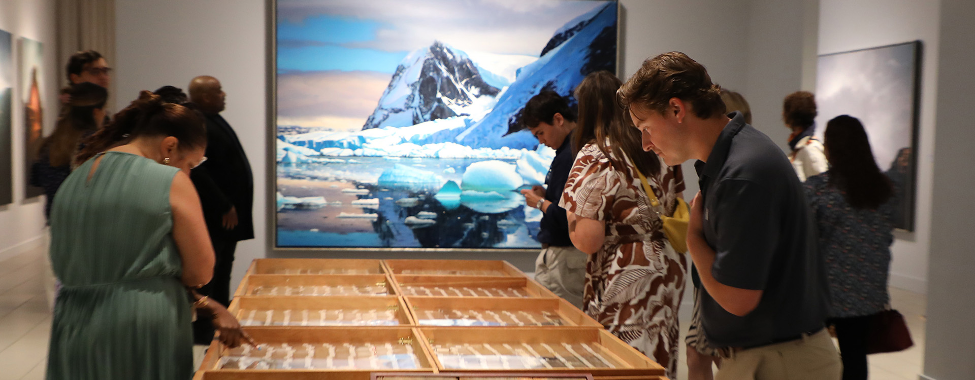 Gallery Tour: TULA TELFAIR N A T U R E does not locate itself